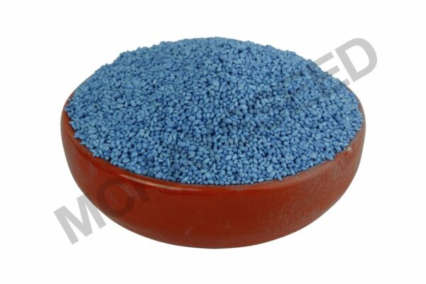 queensland blue couch seed