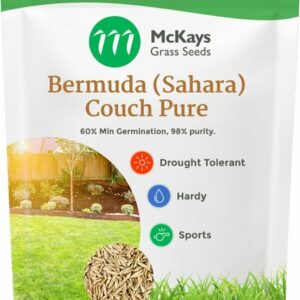 bermuda couch grass seed