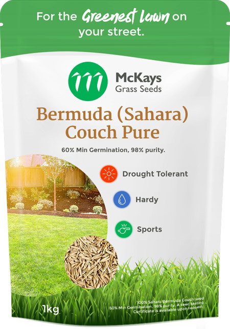 bermuda couch grass seed