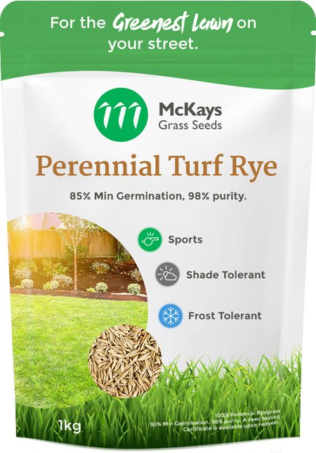 Sports Turf Perennial Ryegrass Seed
