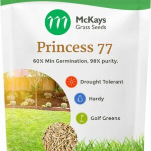 princess 77 couch seed