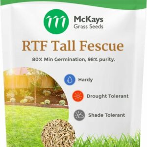 RTF Tall Fescue Seed