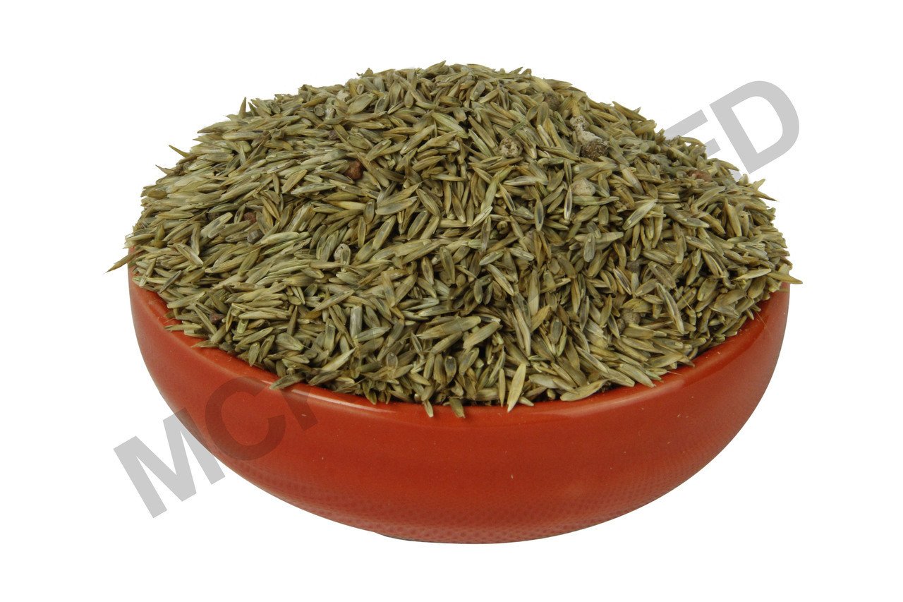 Turf-Type Fescue Grass Seed